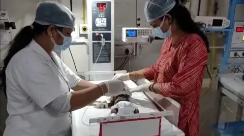Newborn Interred Living in the Country Battles for Existence
