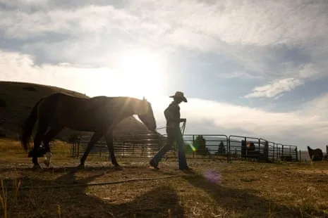 Get to Know the US Women Ranchers Reshaping Contemporary Ranch Life