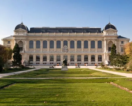 Invaluable Gold Samples Stolen in Daring Heist at France's National Institution