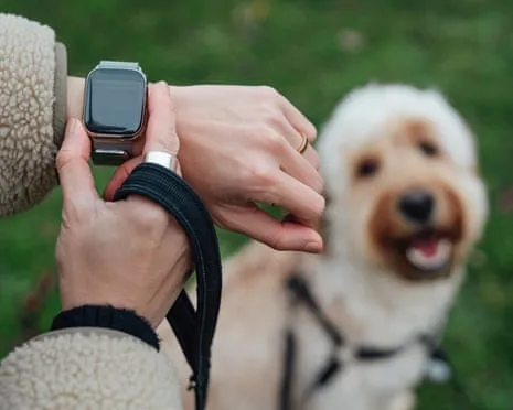 The Honest Scoop About Fitness Trackers? Life Is Better Lacking a Nagging Gadget on Your Wristwear